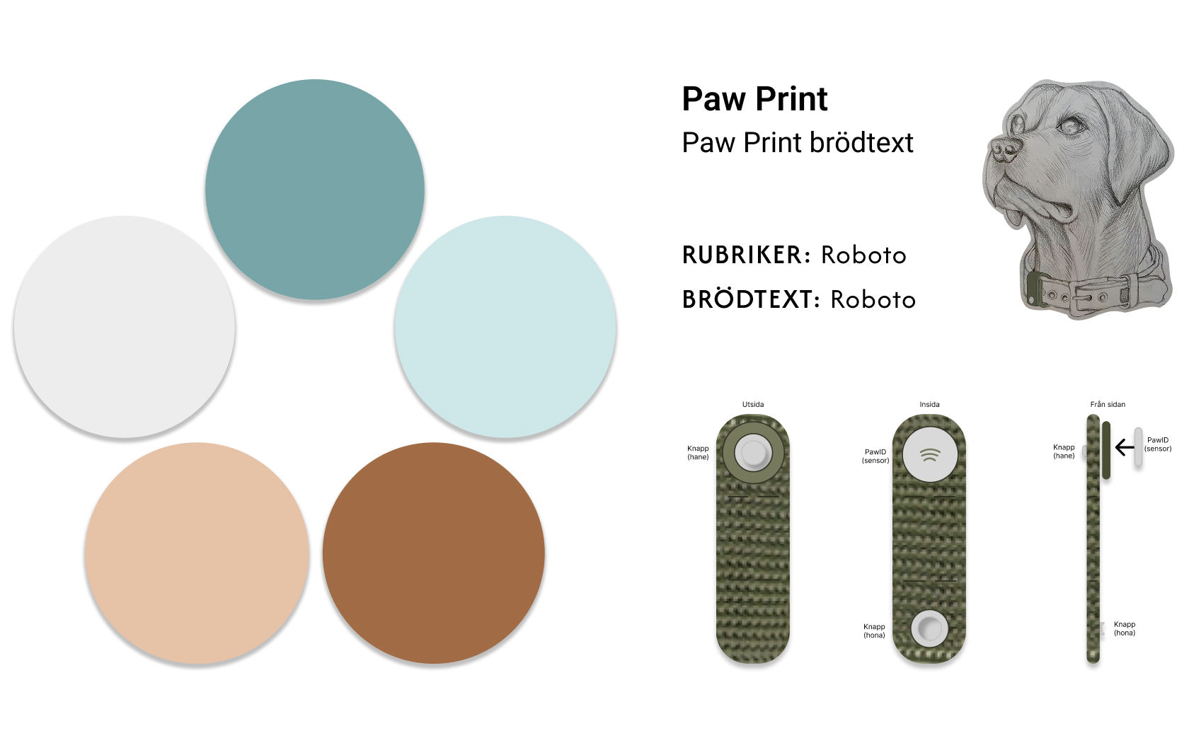 Paw Prints